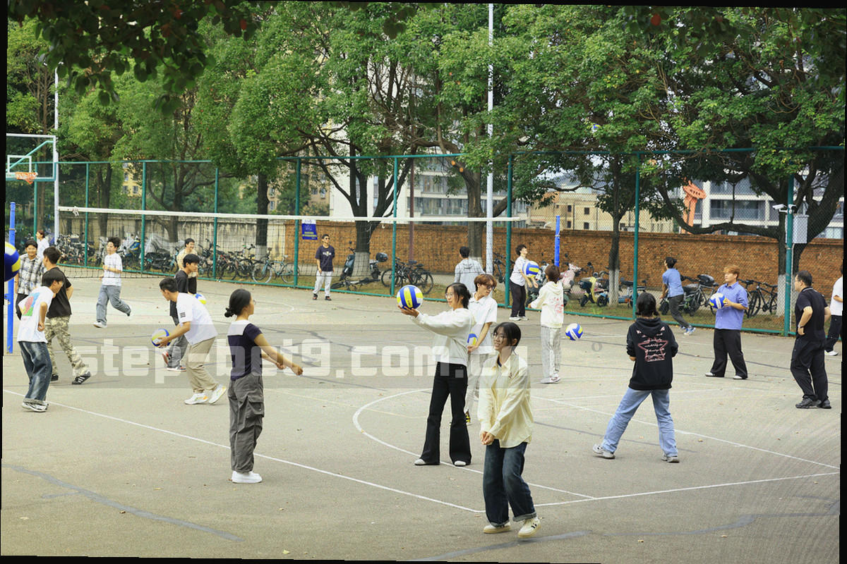 苹果版与正式版的界面左右镜像排布，正式版一侧多出导出入口